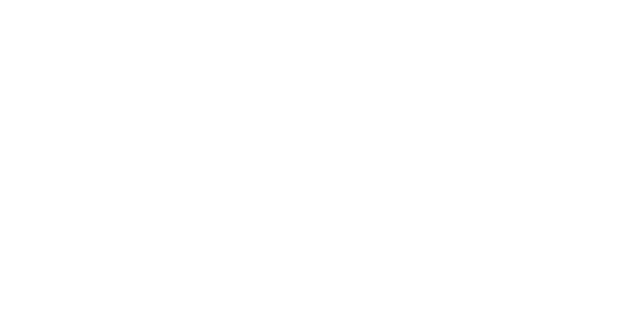netrounds logo